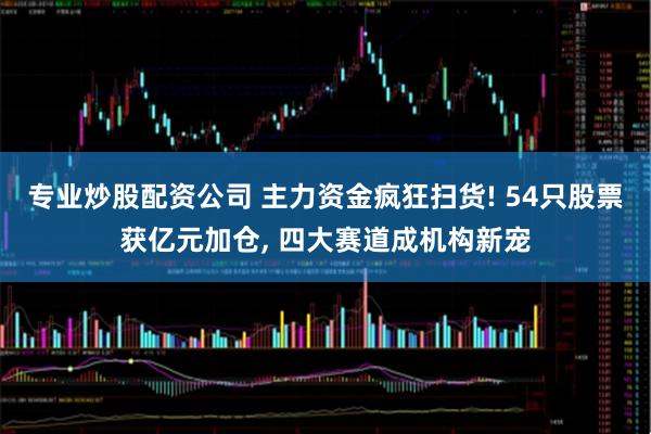 专业炒股配资公司 主力资金疯狂扫货! 54只股票获亿元加仓, 四大赛道成机构新宠