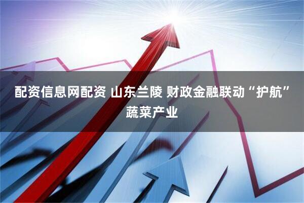 配资信息网配资 山东兰陵 财政金融联动“护航”蔬菜产业